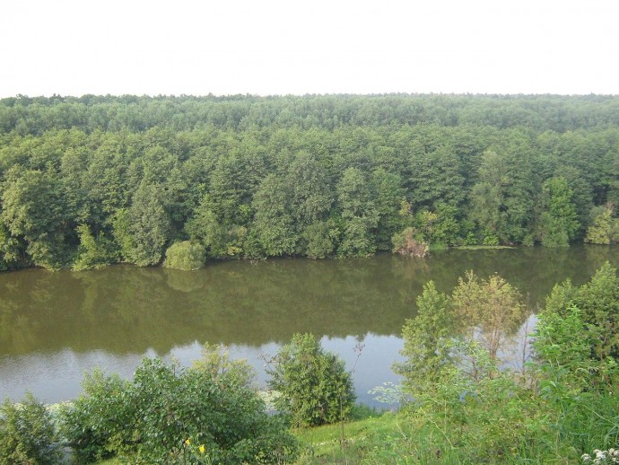 Заповідник під прицілом: на Вінниччині незаконно використовували території для мисливства