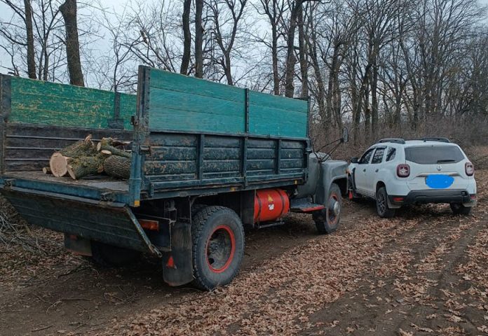На Вінниччині затримали “чорних лісорубів”, які ховали сліди вирубки