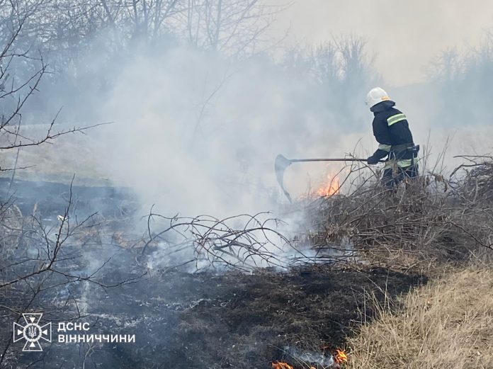 Пожежі у житловому секторі та сухостій – рятувальники Вінниччини боролися з 11 загоряннями