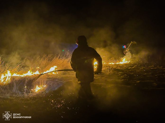 Рятувальники Вінниччини ліквідувала 19 пожеж, більшість – у природних екосистемах