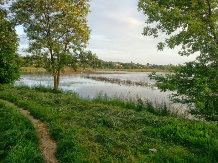 На Вінниччині водойму ботанічного заказника повернули громаді