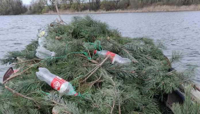 На Вінниччині встановили 250 гнізд для нересту риби