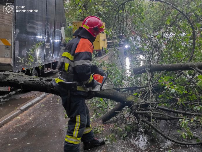 Шквальний вітер повалив дерева у Вінниці та районах