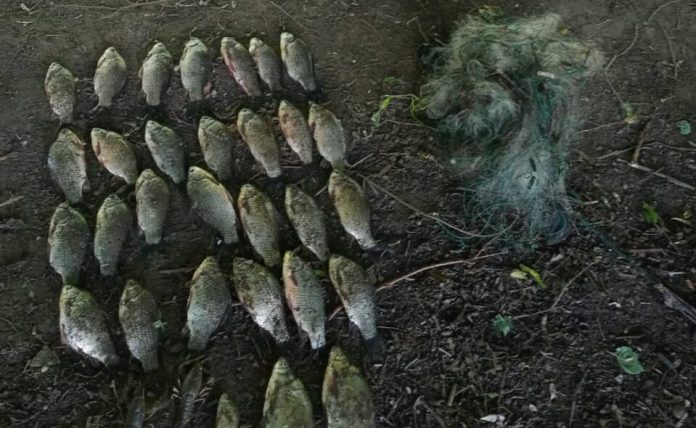 За незаконний вилов на Південному Бузі браконьєр заплатить майже 56 тисяч гривень