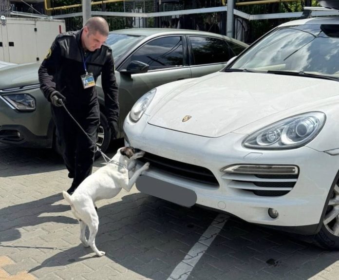 Porsche, фольга і канабіс: на Вінниччині митники зірвали контрабанду