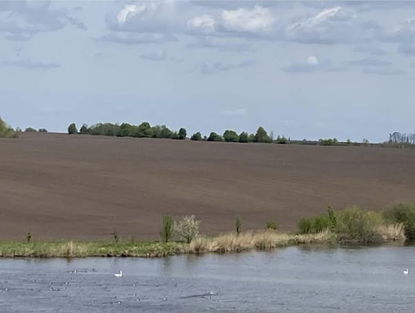 Самовільно зайняли землю біля водойм: на Вінниччині порушили водний і земельний кодекси