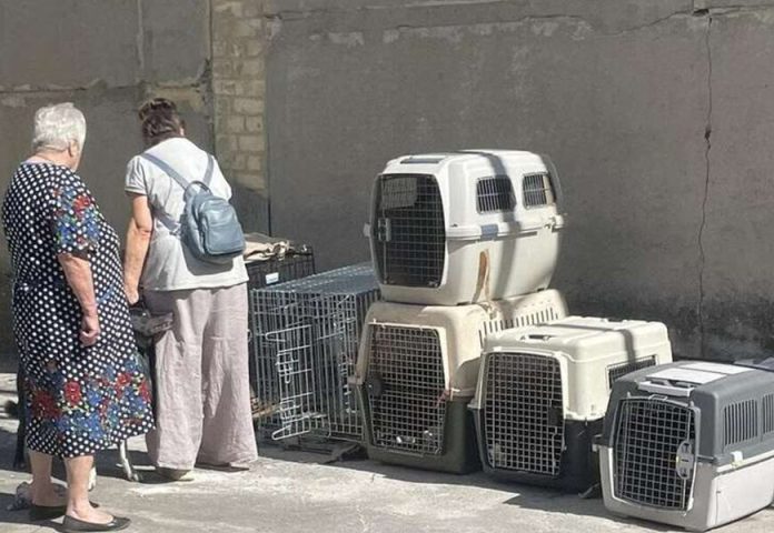 На Вінниччині село не пустило переселенців через собак — втрутилась влада