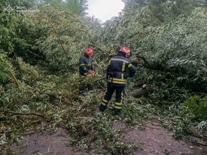 Повалені дерева перекрили дороги у громадах Вінниччини — ДСНС оперативно реагує