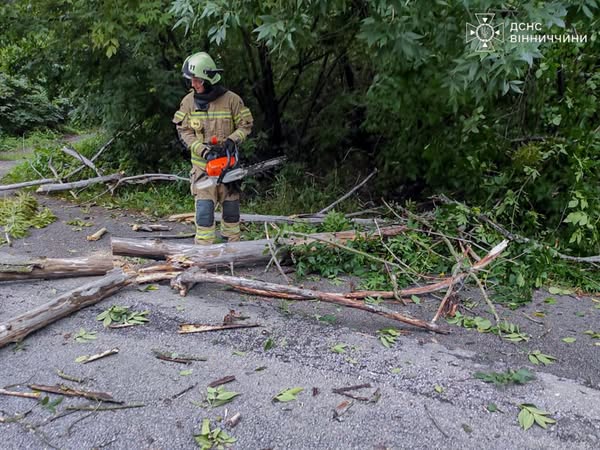 Жмеринка, Петрик, Хмільницький район: Вінниччина оговтується після негоди