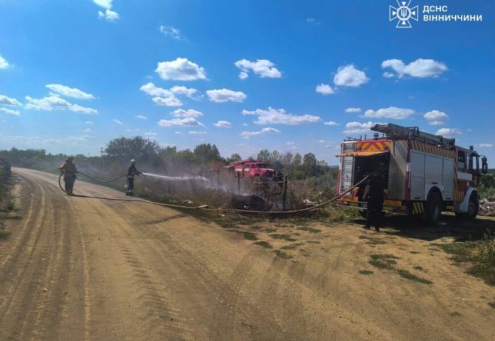 Вогонь охопив поля та очерет: у Вінницькій області за добу згоріло майже 6 га територій
