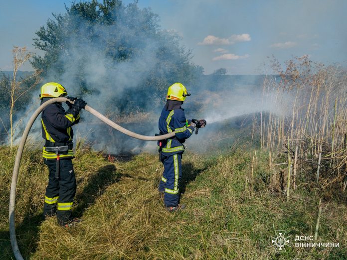 Пожежі на Вінниччині: горіли поля, господарська будівля та авто
