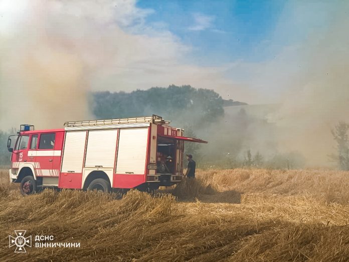 На Вінниччині за добу згоріло понад 5 гектарів землі через людську недбалість
