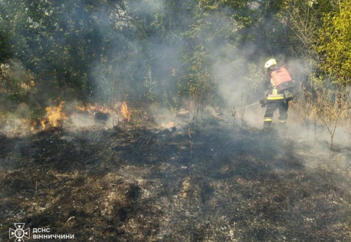 На Вінниччині десятки пожеж – горіли поля, будинки та авто