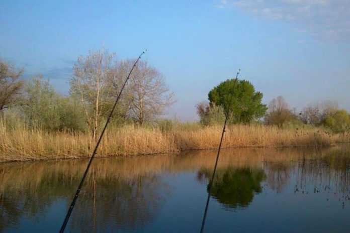 Ставок Качатник у Вінниці: прокуратура судиться за 125 ділянок громади