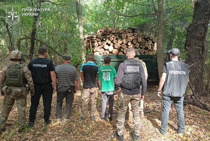 На гарячому спіймали бригаду «чорних лісорубів» у Нацпарку «Кармелюкове Поділля»