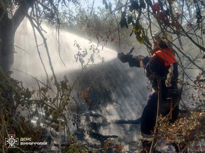 Палаючі поля і господарства: рятувальники Вінниччини ліквідували 25 пожеж за день