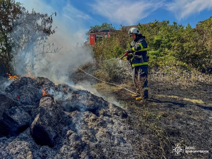 Понад 9 гектарів охопив вогонь: на Вінниччині рятувальники за добу приборкали 18 пожеж