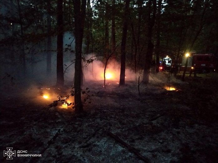 Вогонь підступив до лісу й знищив авто: на Вінниччині за добу сталось 18 пожеж