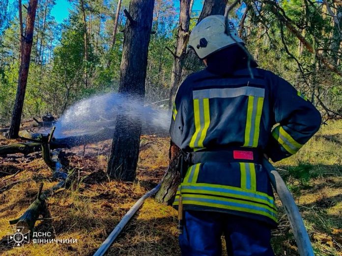 У селі на Вінниччині згорів будинок: шестирічного хлопчика врятував батько
