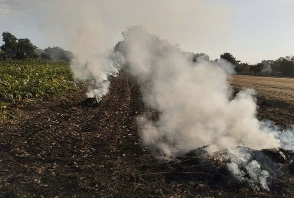 Муніципальна варта оштрафувала вінничан за спалювання бадилля та сміття