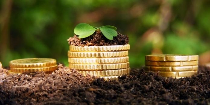 Земельні махінації на 485 тисяч: реєстраторку з Тульчинського району відправили до суду