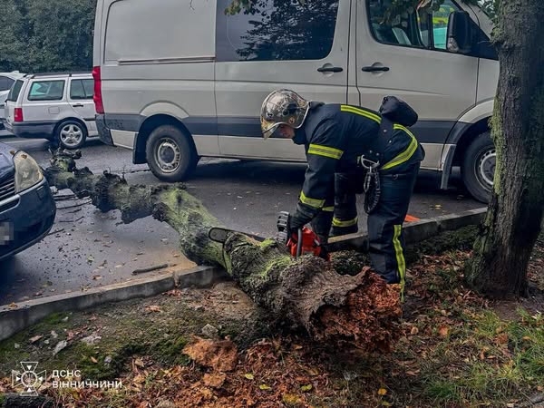 Повалені дерева через вітер і дощ: минулої доби рятувальники тричі допомагали мешканцям