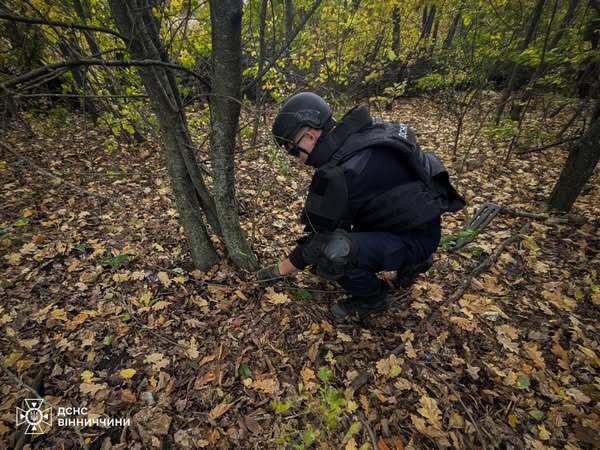 Граната у дворі: у Погребищі рятувальники знищили небезпечну знахідку