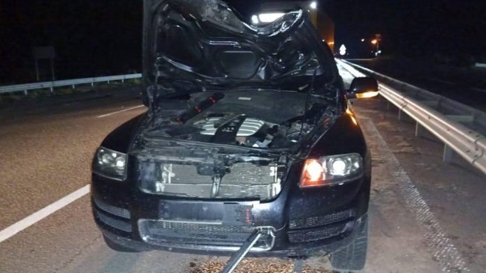 Смертельна аварія на Київ – Чоп: під колесами авто вінничанина загинула жінка