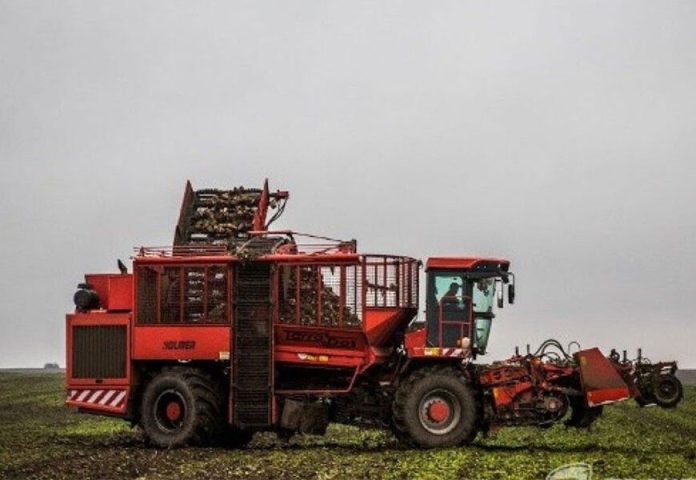 Мокрий сезон дався взнаки: на Вінниччині призупинили переробку буряків