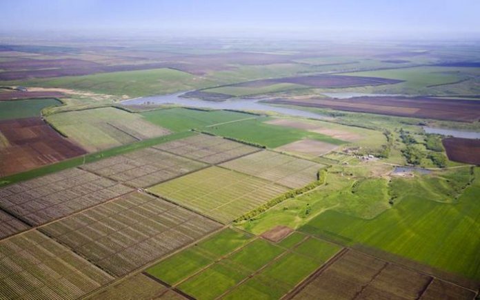 Землі Копайгорода знову у власності громади після судового рішення