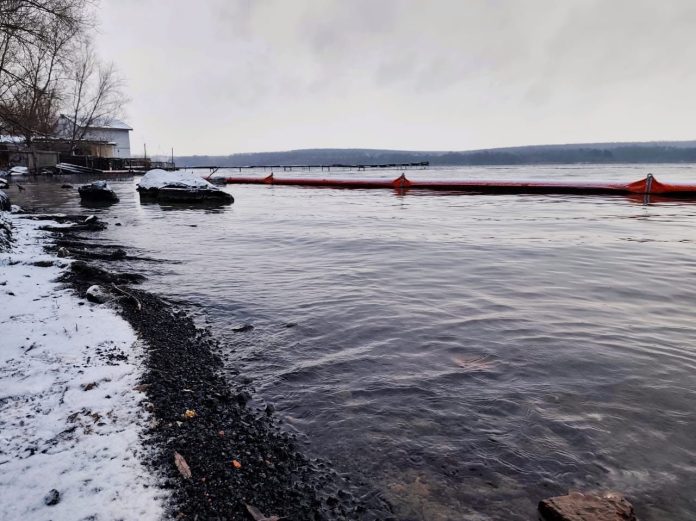 Загибелі риби не зафіксовано: на Ладижинському водосховищі триває екологічний контроль