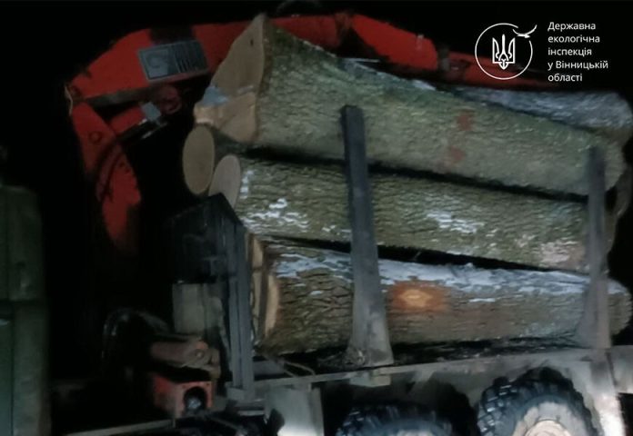 Без документів і маркування: у Жмеринському районі зупинили вантажівку з лісом