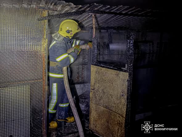 Несправне опалення та людська недбалість: на Вінниччині зафіксували вісім пожеж
