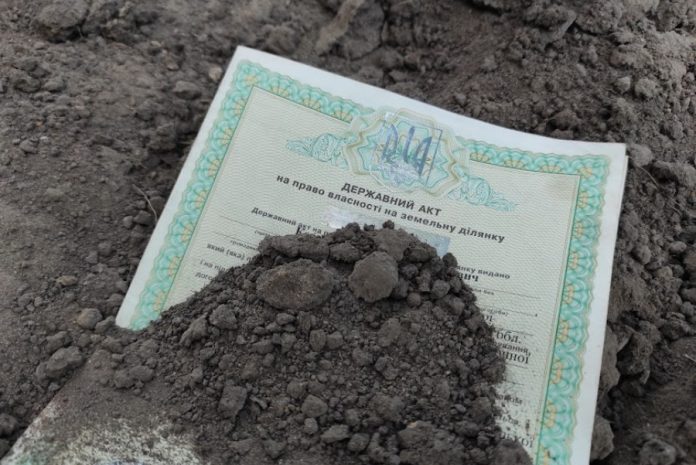 Фіктивні папери на землю: обвинувачений повернув ділянку сільській раді