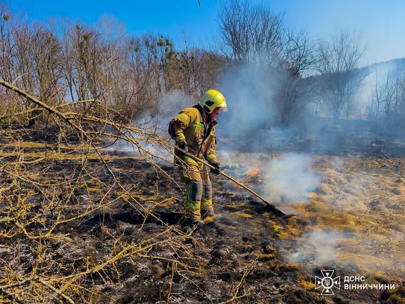 Масштабні пожежі на Вінниччині: вогонь знищив 11 гектарів екосистем