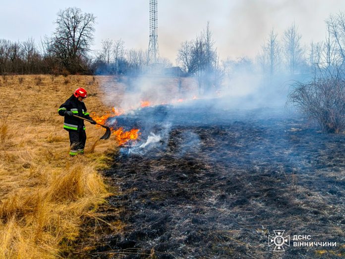 На Вінниччині за добу сталося 10 пожеж, більшість — в екосистемах
