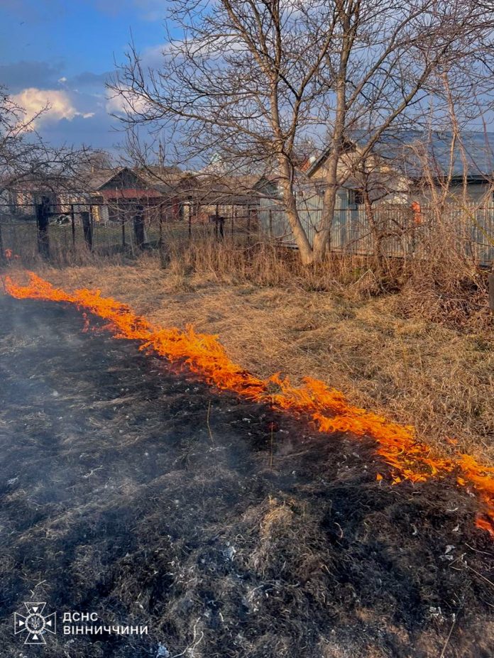 Вінничани продовжують палити сухостій: за добу вигоріло 11 гектарів землі