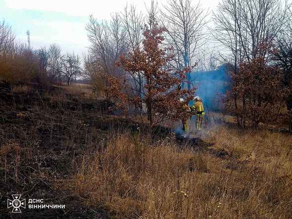 Пожежа в приватному господарстві на Вінниччині: постраждала людина