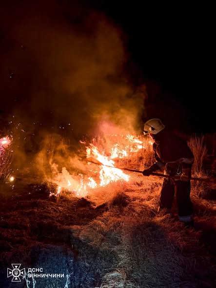 16 пожеж в екосистемах: на Вінниччині продовжують горіти поля