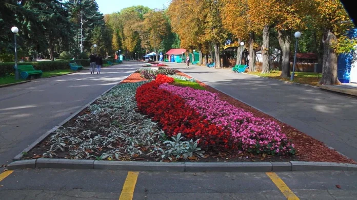 Вінничани викопують квіти з парку: клумби поступово зникають
