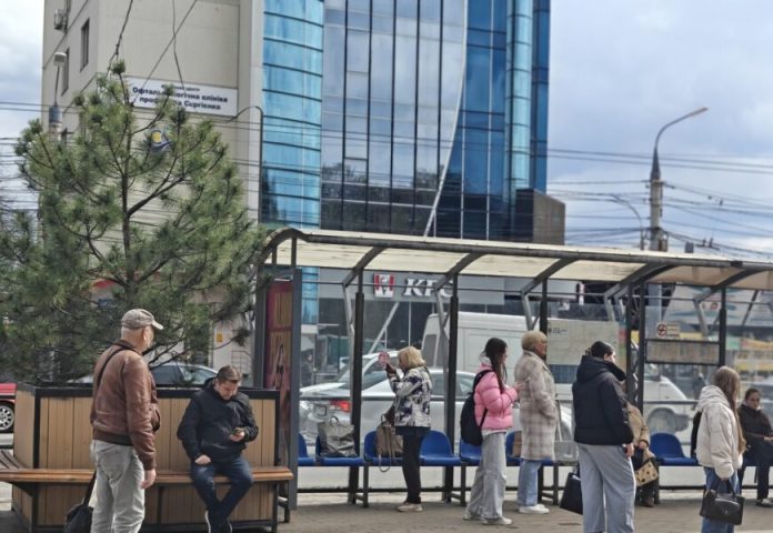 Сакуру і сосну перемістили з Майдану Небесної Сотні до нової локації