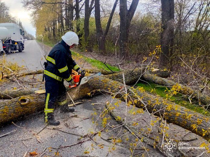 Повалені дерева та перекриті дороги: на Вінниччині вирувала негода