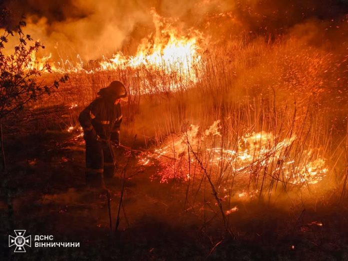 Вогонь не відступає: на Вінниччині горять поля та сміття через людську недбалість