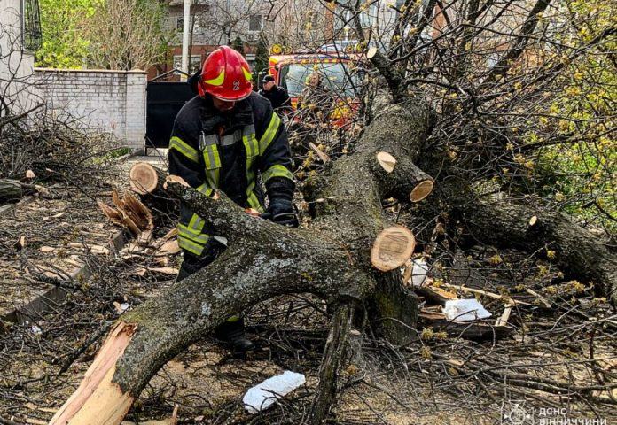 Через сильний вітер на Вінниччині травмувався чоловік, а у Вінниці впала зупинка