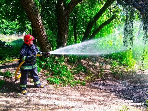 Через людську недбалість на Вінниччині вигоріло понад 4 гектари землі
