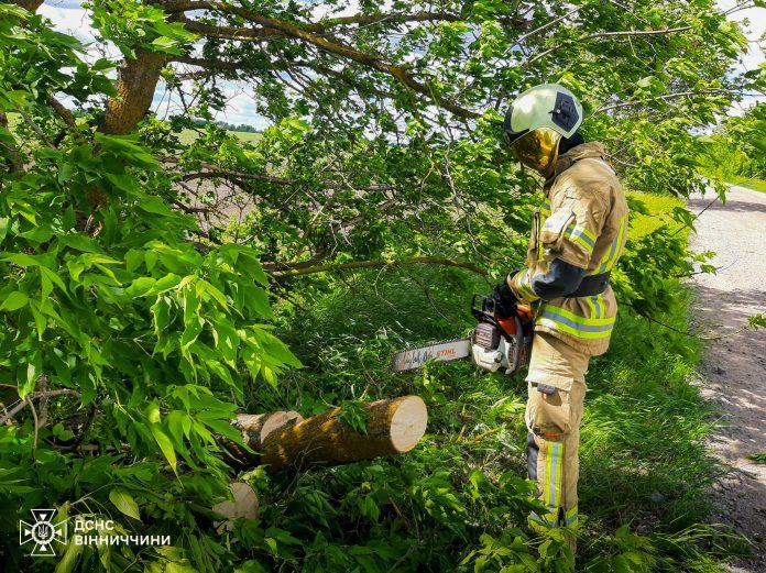 Через негоду на Вінниччині дерева заблокували автошляхи у трьох громадах