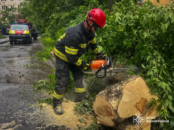 Повені у дворах і повалені дерева: ДСНС ліквідовує наслідки негоди на Вінниччині