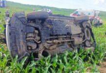 Смертельна ДТП під Вінницею: Toyota опинилася в кукурудзяному полі