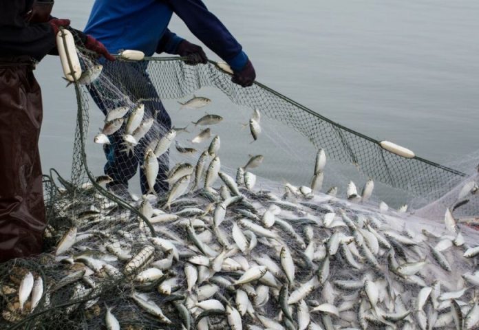 Поліція Вінниччини посилила боротьбу з браконьєрами під час нересту
