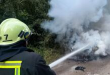 Понад гектар лісу ледь не охопило полум’я: на Вінниччині ліквідували чотири пожежі